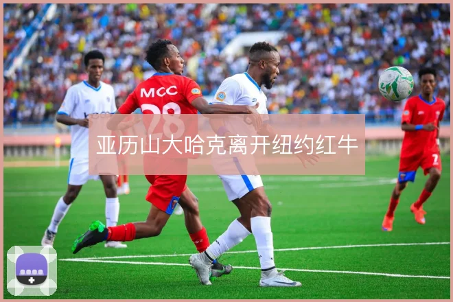 亚历山大哈克离开纽约红牛