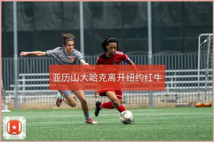 亚历山大哈克离开纽约红牛