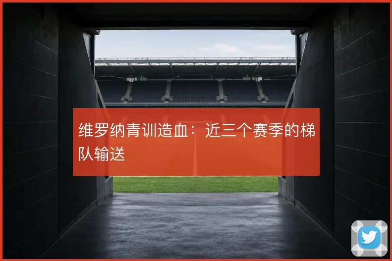 维罗纳青训造血：近三个赛季的梯队输送